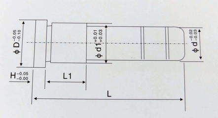 臺階導柱,三節導柱,塑模臺階導柱,導柱,慈溪寧波廠價直銷 - 臺階導柱,三節導柱,塑模臺階導柱,導柱,慈溪寧波廠價直銷廠家 - 臺階導柱,三節導柱,塑模臺階導柱,導柱,慈溪寧波廠價直銷價格 - 慈溪市宏鑫機械 - 