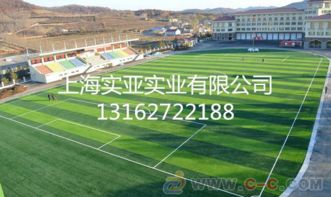 上海人造草坪材料,建設人造草坪專業保養